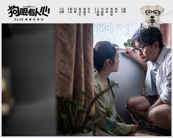 重金邀请《狼图腾》国际顶级驯兽师,《狗眼看人心》为训练23只狗演员拼了!