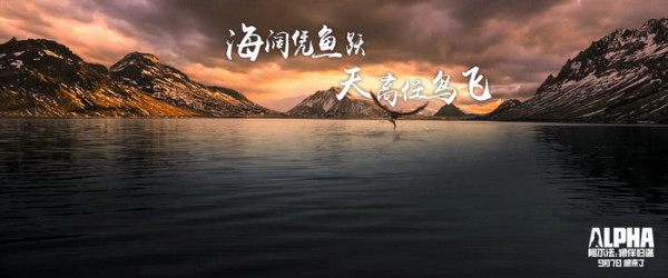史前冒险巨制《阿尔法:狼伴归途》点映 观众赞“画面绝美故事有生命力”