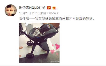 快生了！Hold住姐谢依霖一句话泄露孩子性别