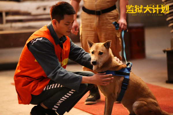 《监狱犬计划》今日公映曝推广曲MV 郝蕾“驴得水”训犬有道梦想同行