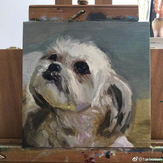 孙俪给爱犬“叶子”画像 惟妙惟肖超可爱