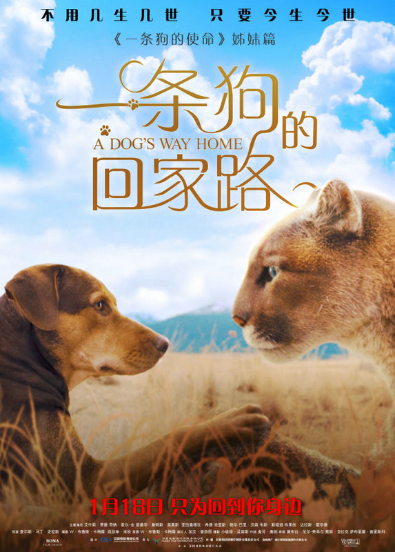 《一条狗的回家路》发布“与你同行”版预告 不惧寒冬只因一路上有你